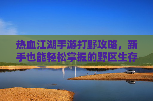 热血江湖手游打野攻略,新手也能轻松掌握的野区生存与收益技巧,热血江湖手游打野攻略,新手野区生存与收益技巧全解析