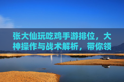 张大仙玩吃鸡手游排位,大神操作与战术解析,带你领略巅峰竞技魅力,张大仙玩吃鸡手游排位,大神操作与战术解析,巅峰竞技魅力全解析