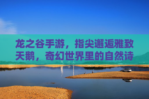 龙之谷手游,指尖邂逅雅致天鹅,奇幻世界里的自然诗篇