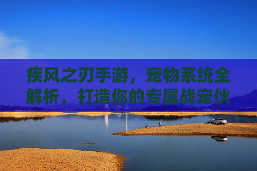 疾风之刃手游,宠物系统全解析,打造你的专属战宠伙伴