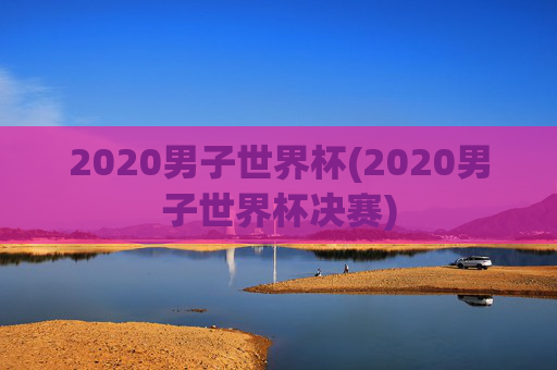 2020男子世界杯(2020男子世界杯决赛)