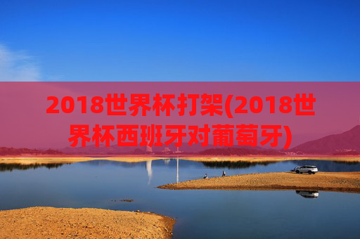 2018世界杯打架(2018世界杯西班牙对葡萄牙)