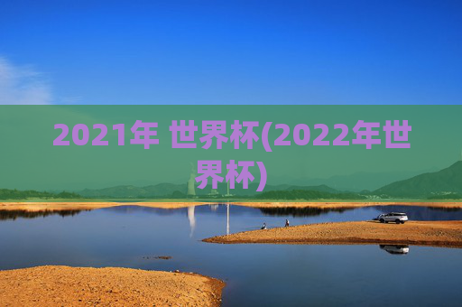 2021年 世界杯(2022年世界杯)