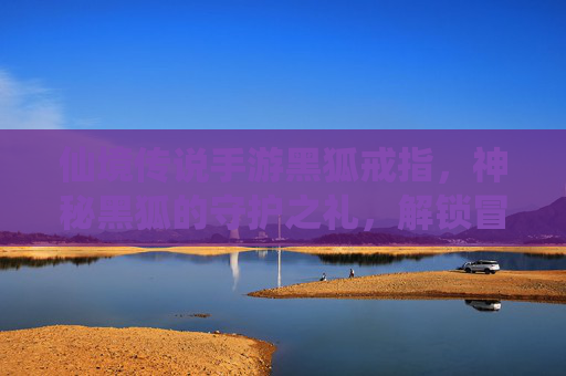 仙境传说手游黑狐戒指,神秘黑狐的守护之礼,解锁冒险新篇章,仙境传说手游黑狐戒指,神秘黑狐的守护之礼,解锁冒险新篇章