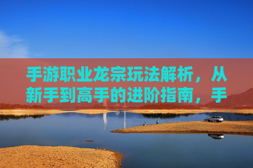 手游职业龙宗玩法解析，从新手到高手的进阶指南，手游职业龙宗玩法解析，从新手到高手的进阶指南