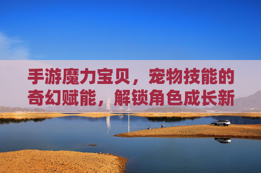 手游魔力宝贝,宠物技能的奇幻赋能,解锁角色成长新篇章,手游魔力宝贝,宠物技能的奇幻赋能,解锁角色成长新篇章