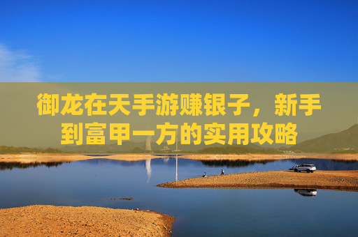 御龙在天手游赚银子，新手到富甲一方的实用攻略