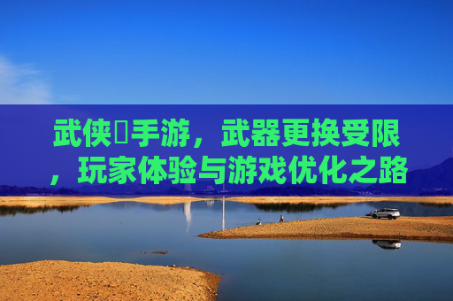 武侠乂手游，武器更换受限，玩家体验与游戏优化之路，武侠乂手游，武器更换受限，玩家体验与游戏优化之路