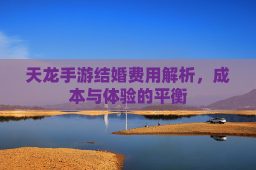 天龙手游结婚费用解析,成本与体验的平衡