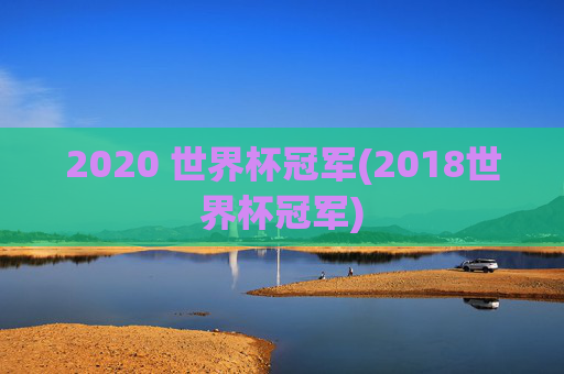 2020 世界杯冠军(2018世界杯冠军)
