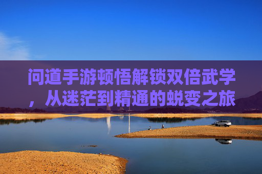 问道手游顿悟解锁双倍武学,从迷茫到精通的蜕变之旅