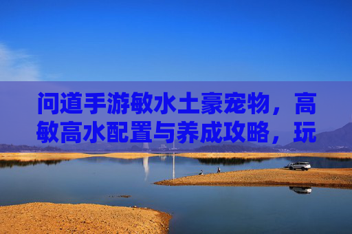问道手游敏水土豪宠物,高敏高水配置与养成攻略,玩出极致战斗体验