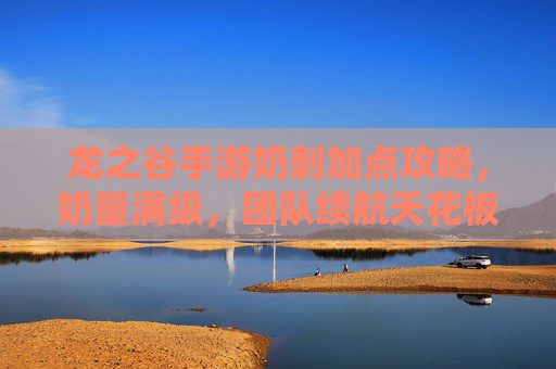 龙之谷手游奶刺加点攻略，奶量满级，团队续航天花板，龙之谷手游奶刺奶量满级加点攻略，团队续航天花板