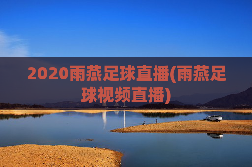 2020雨燕足球直播(雨燕足球视频直播)