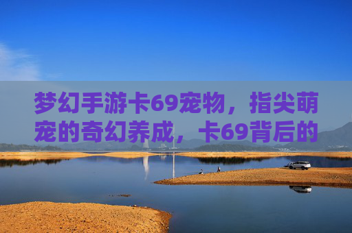 梦幻手游卡69宠物，指尖萌宠的奇幻养成，卡69背后的养成乐趣与价值