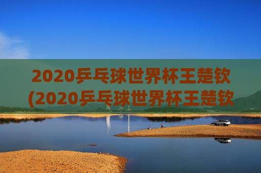 2020乒乓球世界杯王楚钦(2020乒乓球世界杯王楚钦参加了吗)