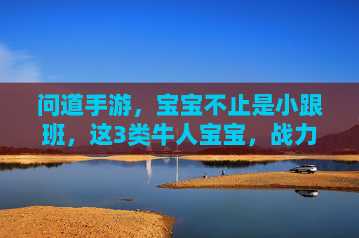 问道手游,宝宝不止是小跟班,这3类牛人宝宝,战力爆表还省心,新手也能轻松养!