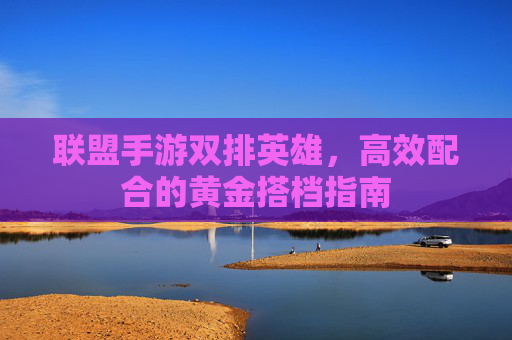 联盟手游双排英雄,高效配合的黄金搭档指南
