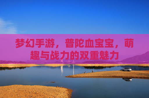 梦幻手游,普陀血宝宝,萌趣与战力的双重魅力