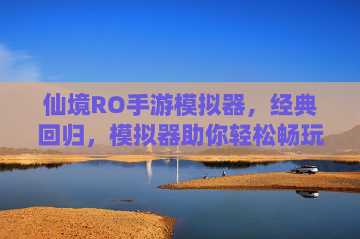 仙境RO手游模拟器,经典回归,模拟器助你轻松畅玩