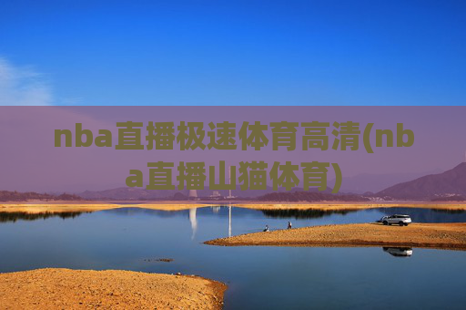 nba直播极速体育高清(nba直播山猫体育)