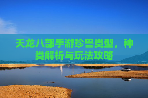 天龙八部手游珍兽类型，种类解析与玩法攻略