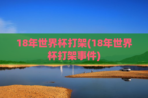 18年世界杯打架(18年世界杯打架事件)