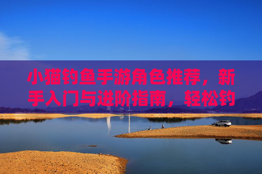 小猫钓鱼手游角色推荐,新手入门与进阶指南,轻松钓出高分体验!