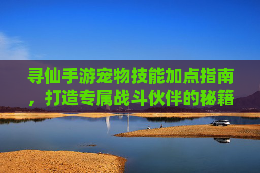 寻仙手游宠物技能加点指南,打造专属战斗伙伴的秘籍,寻仙手游宠物技能加点指南,打造专属战斗伙伴的秘籍