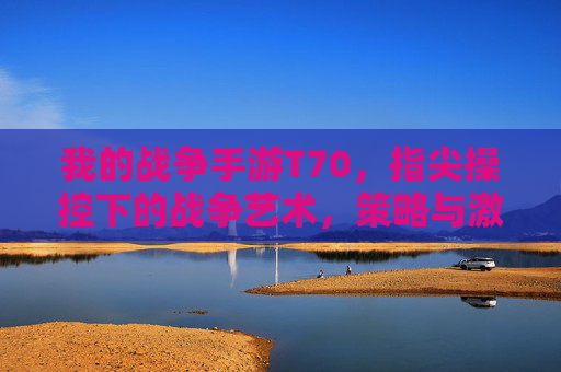 我的战争手游T70,指尖操控下的战争艺术,策略与激情的完美融合,我的战争手游T70,指尖操控下的战争艺术,策略与激情的完美融合