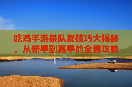 吃鸡手游杀队友技巧大揭秘，从新手到高手的全套攻略，吃鸡手游杀队友技巧大揭秘，从新手到高手的全套攻略