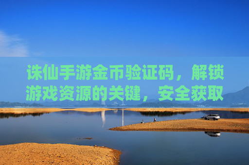 诛仙手游金币验证码,解锁游戏资源的关键,安全获取的实用指南