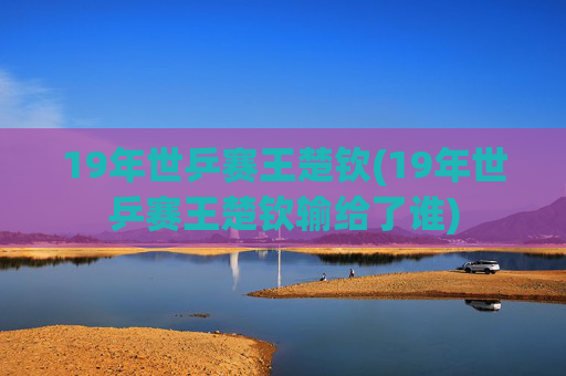 19年世乒赛王楚钦(19年世乒赛王楚钦输给了谁)
