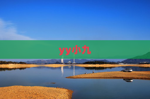 yy小九