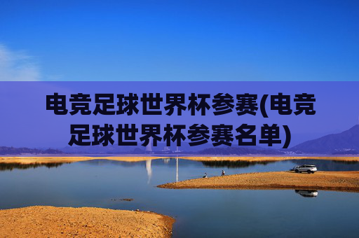 电竞足球世界杯参赛(电竞足球世界杯参赛名单)