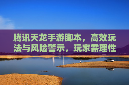 腾讯天龙手游脚本，高效玩法与风险警示，玩家需理性看待工具辅助，腾讯天龙手游脚本，高效玩法与风险警示，玩家需理性看待工具辅助