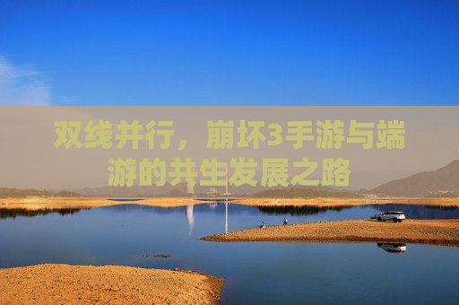 双线并行,崩坏3手游与端游的共生发展之路