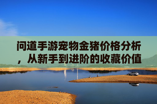 问道手游宠物金猪价格分析,从新手到进阶的收藏价值与市场行情