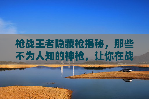 枪战王者隐藏枪揭秘,那些不为人知的神枪,让你在战场上如虎添翼!