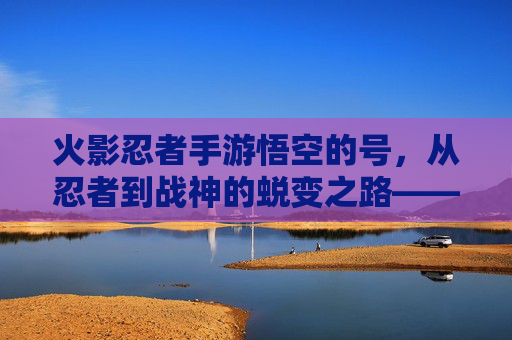 火影忍者手游悟空的号，从忍者到战神的蜕变之路——高爆发与高攻击的战场主宰