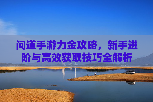问道手游力金攻略,新手进阶与高效获取技巧全解析