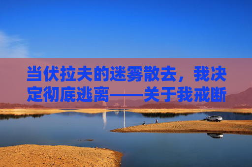 当伏拉夫的迷雾散去，我决定彻底逃离——关于我戒断伏拉夫类手游的心路历程，当伏拉夫的迷雾散去，我决定彻底逃离，关于戒断伏拉夫类手游的心路历程
