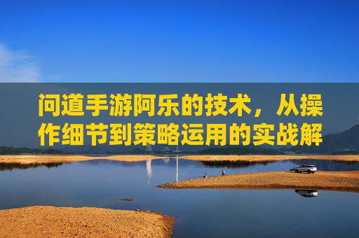 问道手游阿乐的技术，从操作细节到策略运用的实战解析
