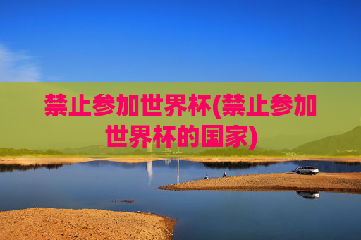 禁止参加世界杯(禁止参加世界杯的国家)