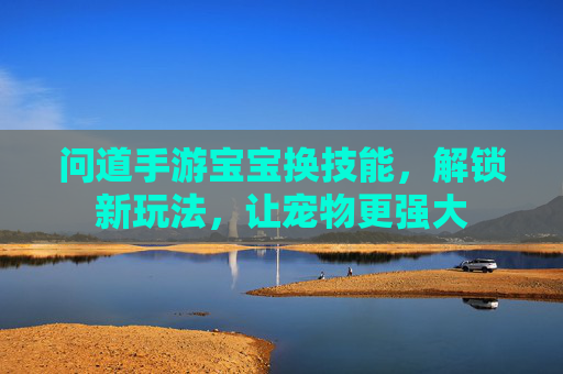 问道手游宝宝换技能,解锁新玩法,让宠物更强大