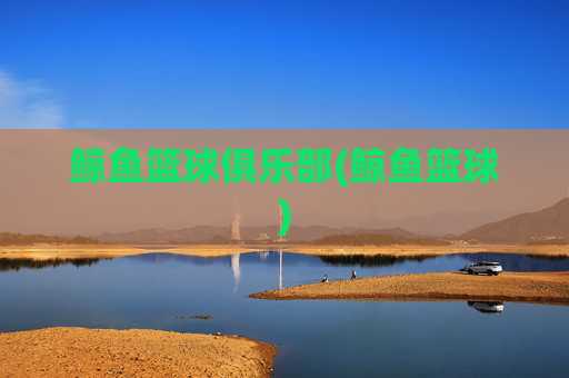 鲸鱼篮球俱乐部(鲸鱼篮球)