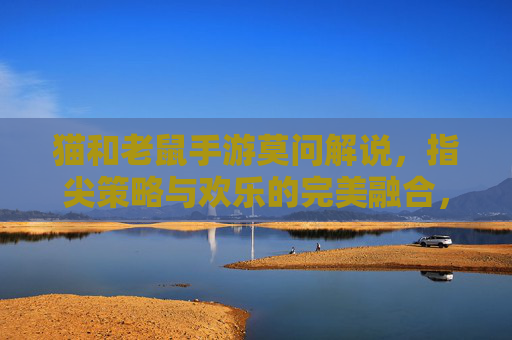 猫和老鼠手游莫问解说,指尖策略与欢乐的完美融合,带你领略汤姆杰瑞的全新对决