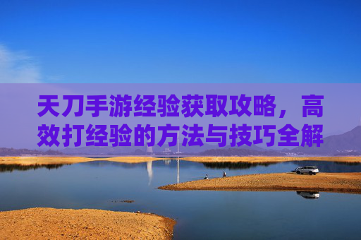天刀手游经验获取攻略,高效打经验的方法与技巧全解析,天刀手游经验获取攻略,高效打经验的方法与技巧全解析