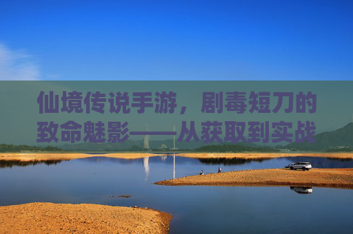 仙境传说手游，剧毒短刀的致命魅影——从获取到实战的深度解析