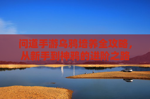 问道手游乌鸦培养全攻略，从新手到神鸦的进阶之路